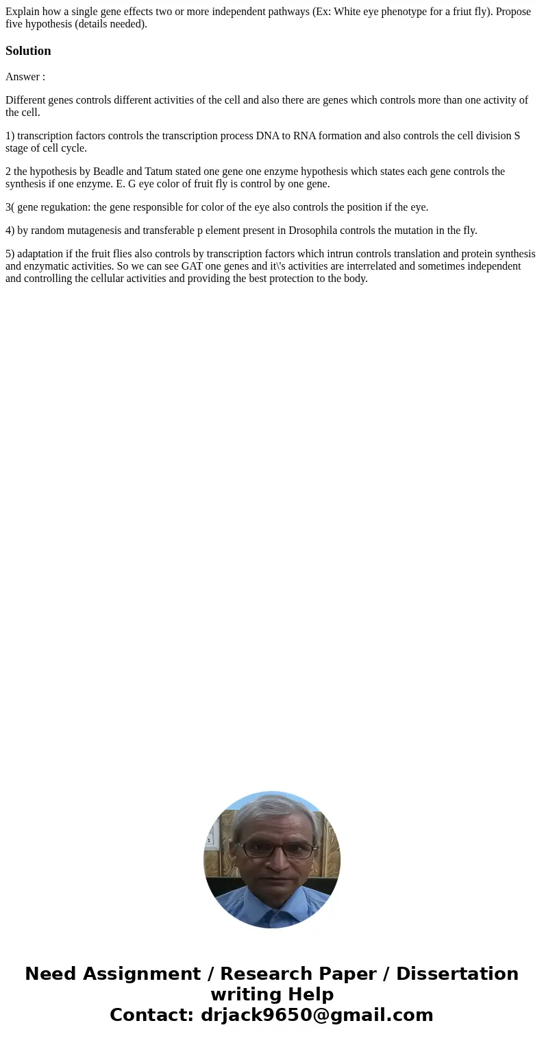 Explain how a single gene effects two or more independent pathways (Ex: White eye phenotype for a friut fly). Propose five hypothesis (details needed).SolutionA Explain how a single gene effects two or more independent pathways (Ex: White eye phenotype for a friut fly). Propose five hypothesis (details needed).SolutionA